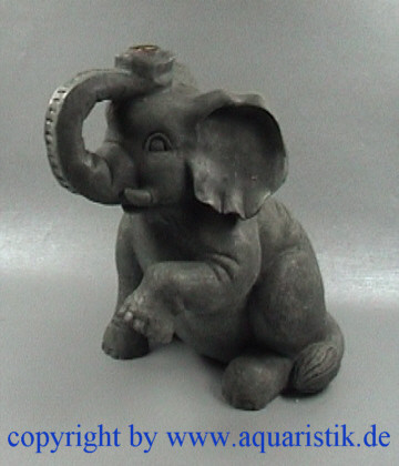 Elefant